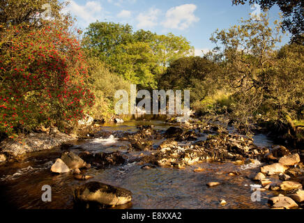 Rocky river bed in secluded valley Stock Photo