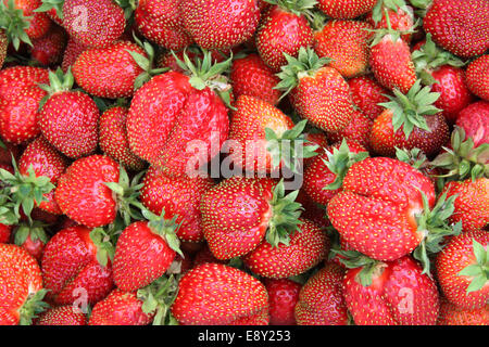 Background made from strawberries Stock Photo