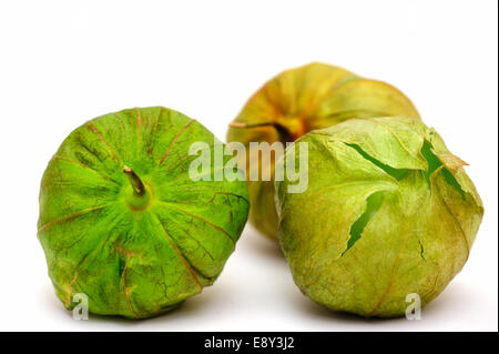 Tomatillo For Salsa Verde Stock Photo