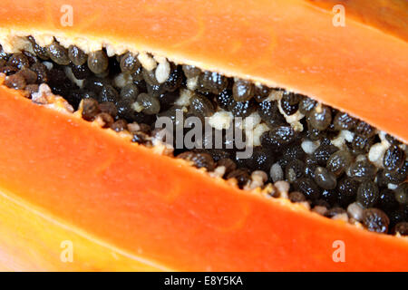 Close-up of bisected orange papaya Stock Photo