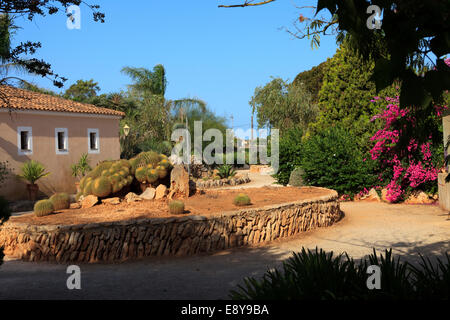 Botanicactus garden, Jardín Botánico, Ses Salines, Mallorca, Balearic Islands, Spain.