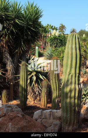 Botanicactus garden, Jardín Botánico, Ses Salines, Mallorca, Balearic Islands, Spain.