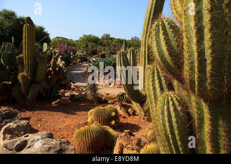 Botanicactus garden, Jardín Botánico, Ses Salines, Mallorca, Balearic Islands, Spain.