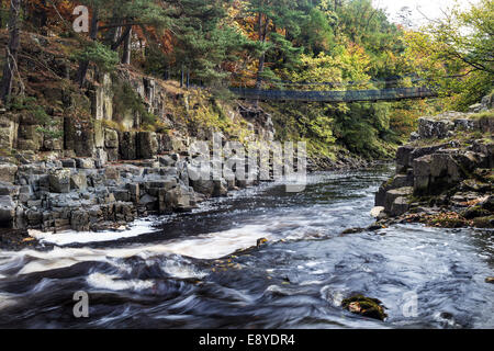 Wynch Bridge and the River Tees in Autumn, Upper Teesdale County Durham England UK Stock Photo