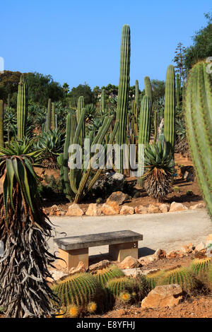 Botanicactus garden, Jardín Botánico, Ses Salines, Mallorca, Balearic Islands, Spain.
