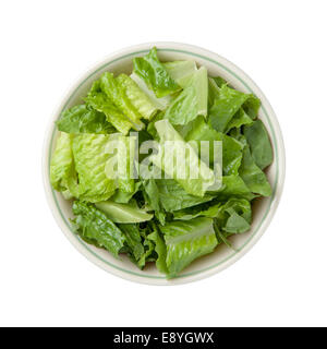 Romaine Lettuce Bowl isolated on a white background. Stock Photo