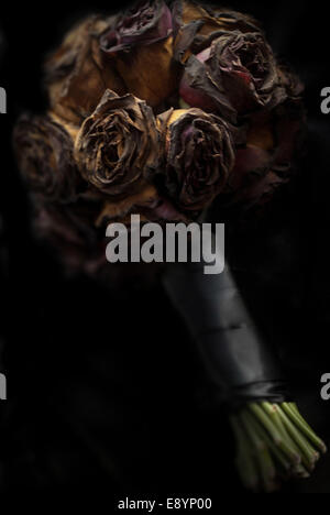 Decaying black roses / Rotting flowers Stock Photo