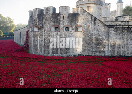 October 2014: 'Blood Swept Lands and Seas of Red' by Paul Cummings. Red poppies bleed into the moat at the Tower of London. Stock Photo