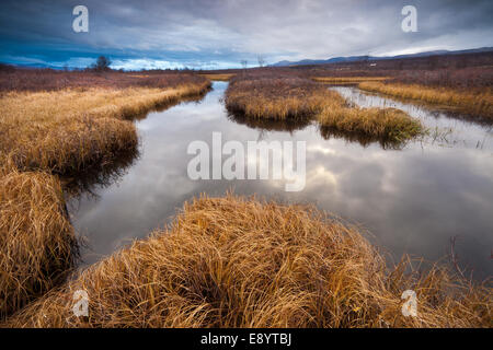 Autumn at Fokstumyra nature reserve in Dovre kommune, Oppland fylke, Norway. Stock Photo