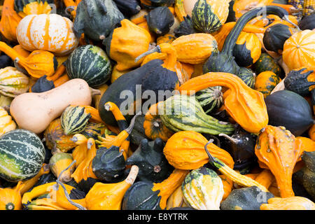 Gourds at a market stall Stock Photo