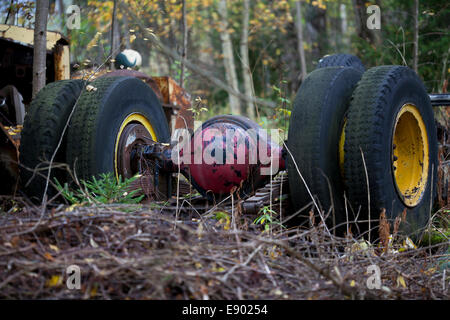 Old cars that are rusting in a forest among old houses Stock Photo