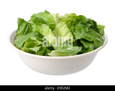 Romaine Salad Bowl isolated on a white background. Stock Photo