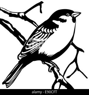silhouette sparrow on white background Stock Photo