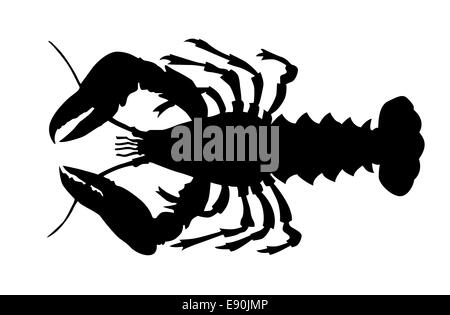 silhouette of the cancer on white background Stock Photo