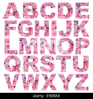 alphabet a to z made from rose flower picture Stock Photo