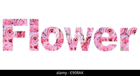 Letter U alphabet with flower ABC concept type as logo isolated on white  background. With clipping path Stock Photo - Alamy