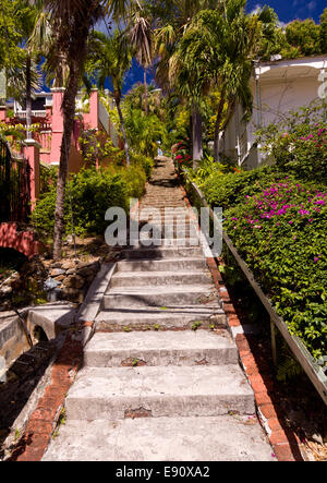 Steep 99 steps in St Thomas Stock Photo