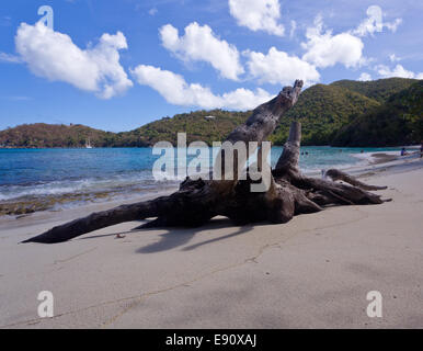 Hawksnest Bay on St John Stock Photo