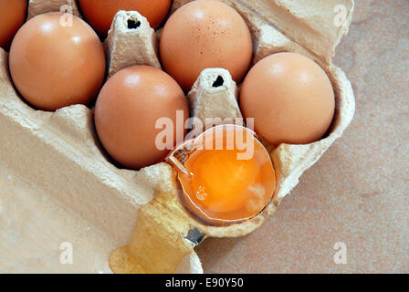 Eggs in box Stock Photo