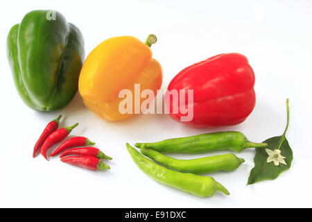 pepper and chili Stock Photo