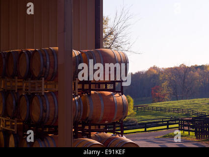 Wine barrels stacked in winery Stock Photo