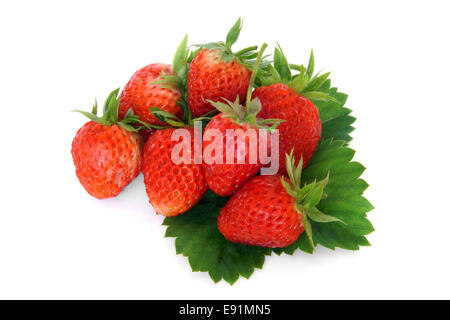 Fresh strawberries with leaves Stock Photo