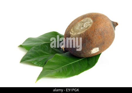 Moldy dried lemon with green leaves Stock Photo