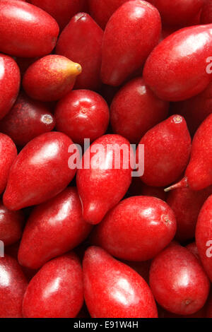 Cornelian cherry Stock Photo