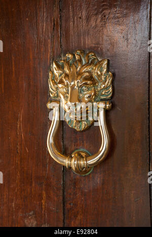 Lion head door knocker on old wooden door Stock Photo