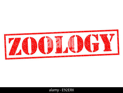 ZOOLOGY red Rubber Stamp over a white background. Stock Photo