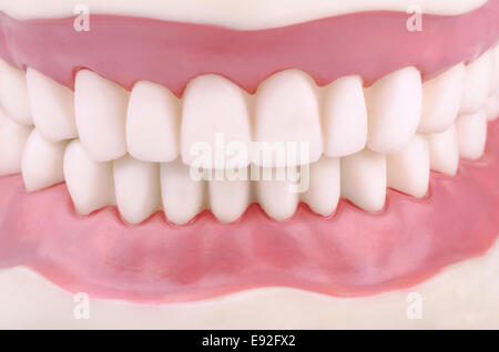 Teeth Stock Photo