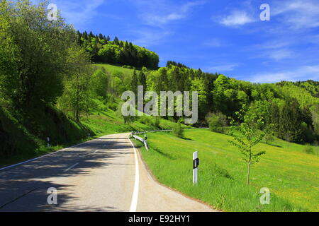 landscape in the Black Forest, Germany Stock Photo