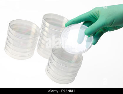 A petri dish being moved from a stack by a gloved hand of lab worker. Petri dishes are empty. Isolated on white Stock Photo