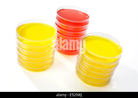 Three stacks of petri dishes in a laboratory. Two yellow and one red. on white background with soft shadows. Stock Photo