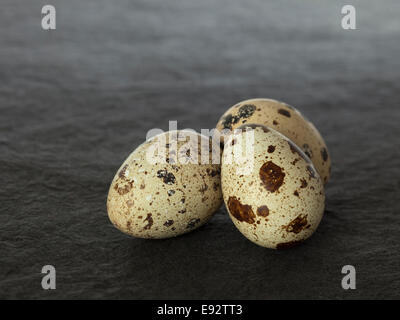 Three spotted quail eggs on a dark textured surface Stock Photo