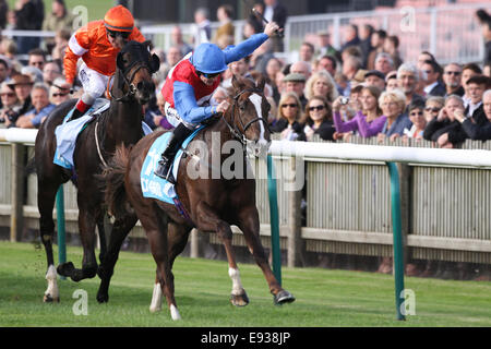 Newmarket, UK. 17th October, 2014. Richard Kingscote riding Royal Razalma wins the Dubai Cornwallis Stakes during The Future Champions Day racing at Newmarket Racecourse on October 17, 2014 in Newmarket, England. Credit:  Andy Prior/Alamy Live News Stock Photo