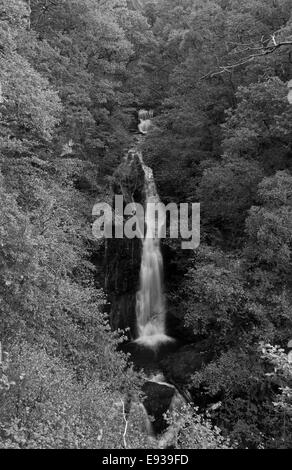 Black Spout Waterfall near Pitlochry in Autumn Stock Photo