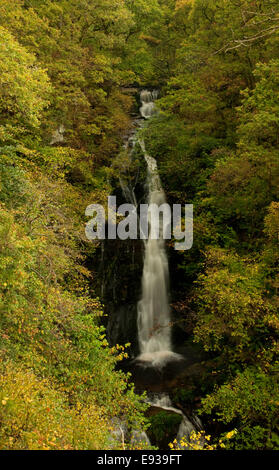 Black Spout Waterfall near Pitlochry in Autumn Stock Photo