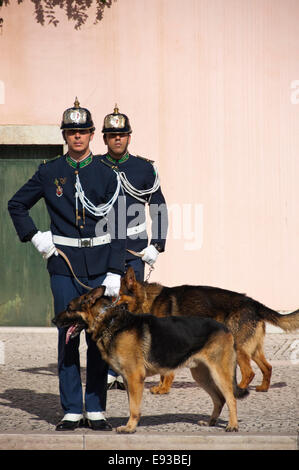 Vertical portrait of dog handlers at the changing of the guard in Belem, Stock Photo