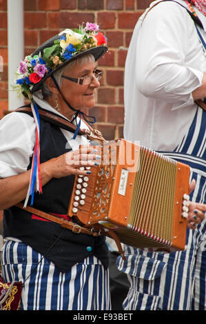 Vertical portrait of traditional North-West Morris musician playing a melodeon Stock Photo