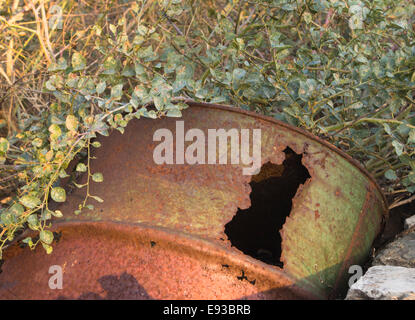 Old rusting oil drum left to decay on a roadside, disturbing the plants, low golden sunlight green and rusty beauty,Samos Greece Stock Photo