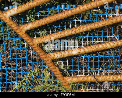Colorful details of rusty old gate with blue plastic mesh, Samos Greece Stock Photo