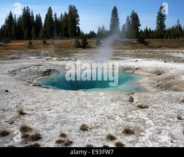 Blue Funnel Spring in West Thumb Geyser Basin of Yellowstone National Park, Wyoming, USA Stock Photo