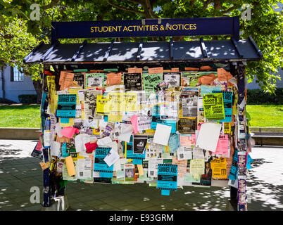 Student Notice Board on the University of California Berkeley campus, Berkeley, California, USA Stock Photo