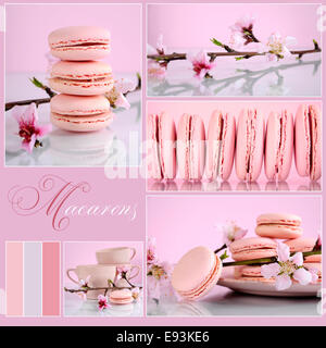Pink Macarons Collage with vintage shabby chic theme and spring blossoms with sample text and color swatches. Stock Photo