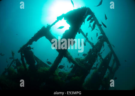 Photograph of the HMS Maori wreck outside Grand Harbor in Valletta, Malta, Mediterranean Sea. Stock Photo