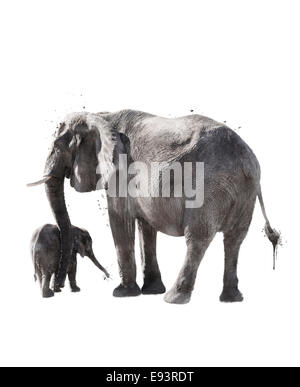 Watercolor Digital Painting Of  Elephants Stock Photo