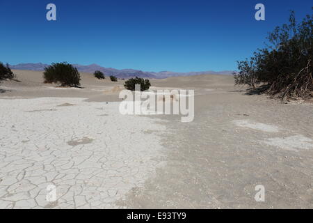 Mesquite sand dunes, Death Valley Stock Photo