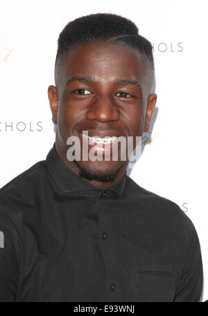 VIP Launch of Bailey's Chocolat Luxe's 'Baileys Feaster Egg Hunt' at Harvey Nichols, Knightbridge, London  Featuring: Jermain Jackman Where: London, United Kingdom When: 15 Apr 2014 Stock Photo