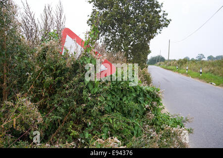 Hidden road traffic sign showing S-bends ahead on a country road in Suffolk UK Stock Photo
